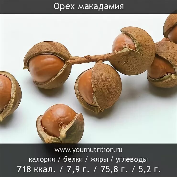 Сколько макадамии можно есть взрослым в день