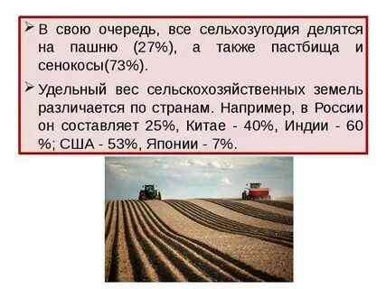 Слово пашня