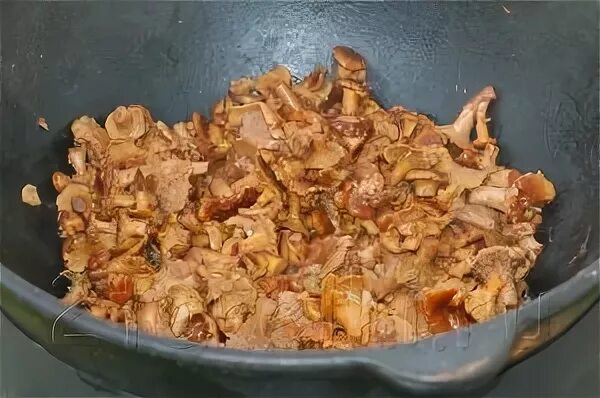 Лисички казан