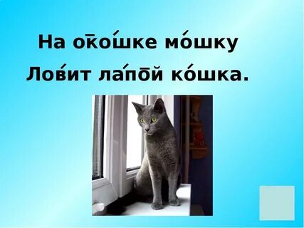 Ловко ловишь