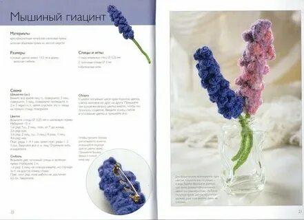 Гиацинт схема