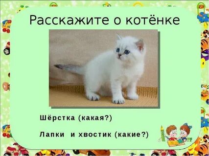 Как пишется котенок