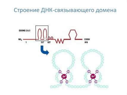 23 строение