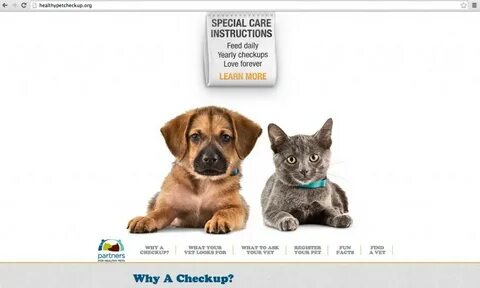 Pet partners