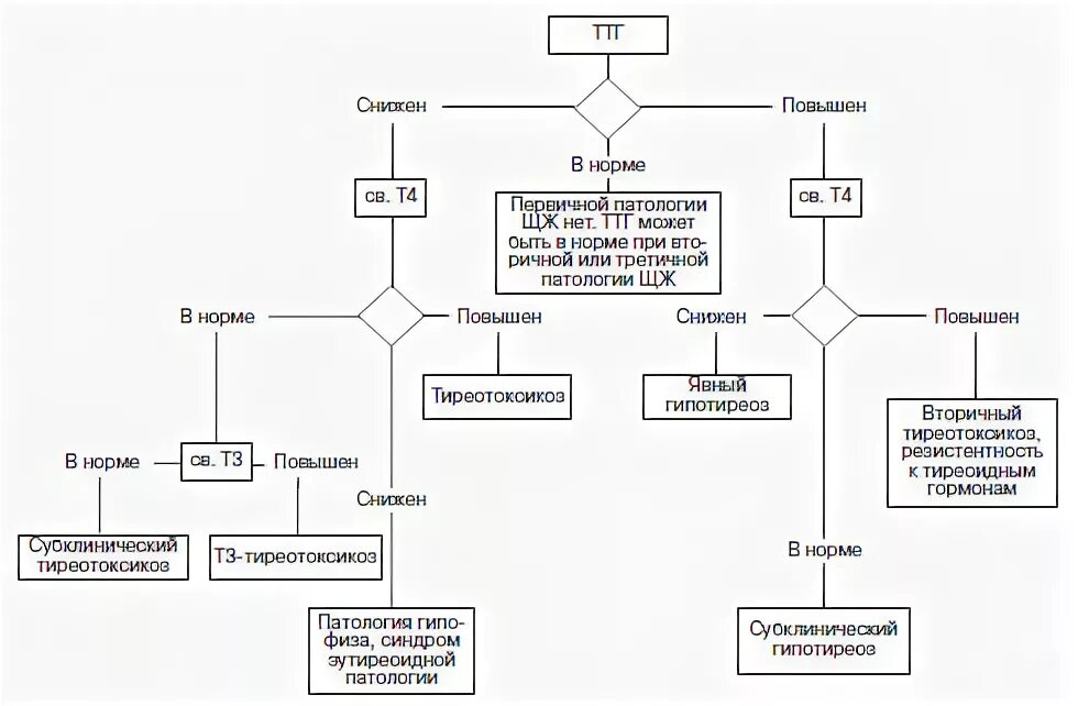 Повышенный ттг гипертиреоз. Алгоритм диагностики гипотиреоза. Алгоритм диагностики гипотиреоза схема. Алгоритм диагностики нарушений функции щитовидной железы. Алгоритм диагностики тиреотоксикоза.