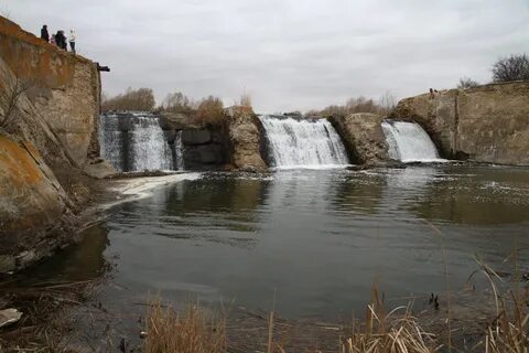 Грэс красного сулина