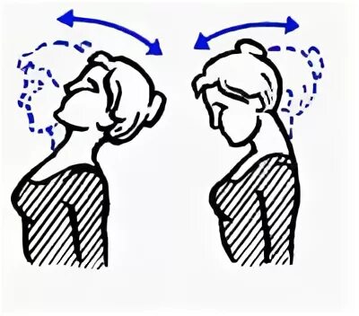 Голова наклонена вправо. Наклоны головы вперед назад. Упражнение голова вперед назад. Повороты головы вперед назад. Упражнение наклоны головы вперед назад.
