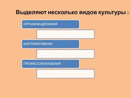 И выделяют несколько важных