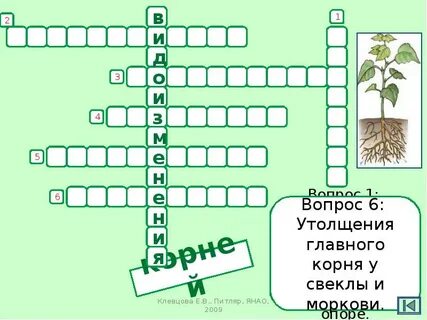 Кроссворд растение жизни