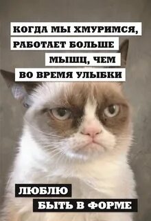 Всегда недовольная