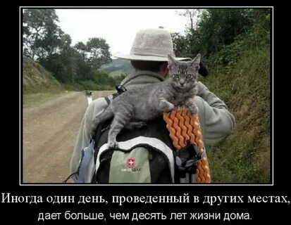 Иногда и не один день