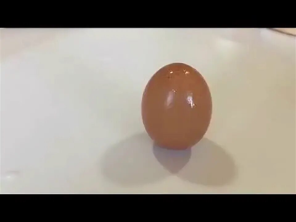 Легендарное яйцо