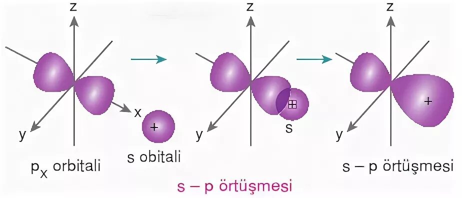 S p net