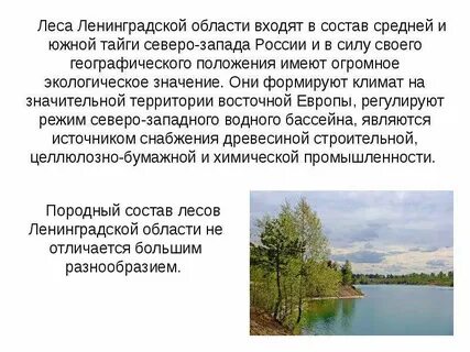 Проект ленинградская область