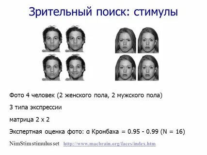 Таблица фото людей