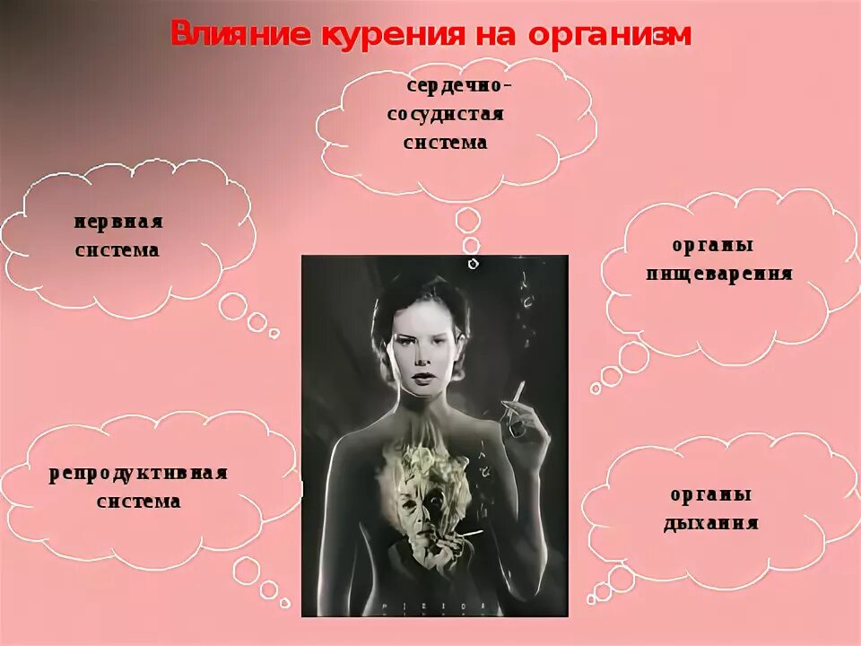 Влияние табачного дыма на рост организма проект Вредное воздействие табачной продукции на живые организмы презентация онлайн