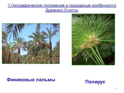 Особенности природных зон египта