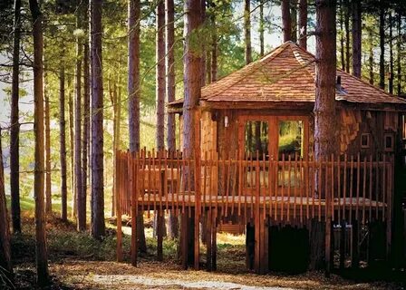 Forest holidays