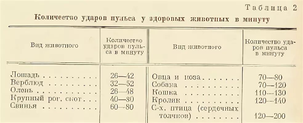 Сколько ударов в минуту делает. Частота пульса у собак мелких пород. Частота сердечных сокращений норма у животных. Частота пульса у разных животных. Норма пульса у животных.