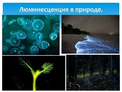 Люминесценция
