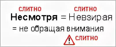 Несмотря на как пишется. Как правильно пишется не смотря. Не смотря или несмотря как правильно. Несмотря слитно. Отвечал несмотря в книгу