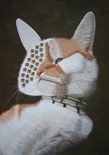 Кошка анка