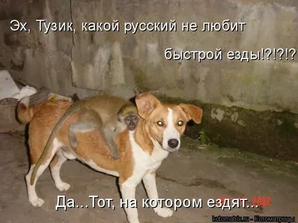 Какой русский не любит
