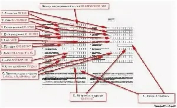 Дата выдачи карты. Миграционная карта. Номер приглашения в миграционной карте. Миграционная карта иностранного гражданина. Миграционная карта где Дата выдачи.