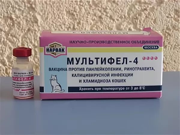 Вакцина мультифел 4. Мультифел 4 Ветбиохим. Мультифел-4, вакцина для кошек. Мультифел-4 и Мультифел. Мультифел 6 вакцина для кошек.