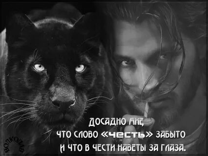 Честь дороже жизни