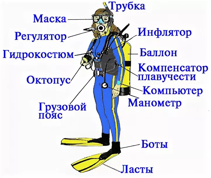 Снаряжение дайвера с названиями. Акваланг заимствованное слово. Акваланг заимствованное слово. Акваланг рисунок. Акваланг 1943.