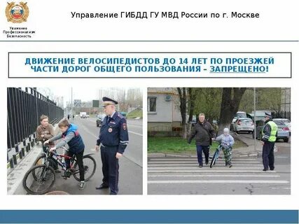 План дорожно транспортного травматизма