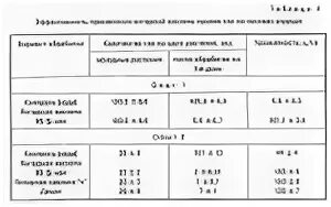 Как развести таблетку янтарной кислоты для полива. Как развести янтарную кислоту для полива. как развести янтарную кислоту для полива цветов. как развести янтарную кислоту в таблетках для полива. как разводить янтарную кислоту для полива растений.