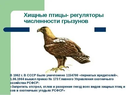 Численность хищных
