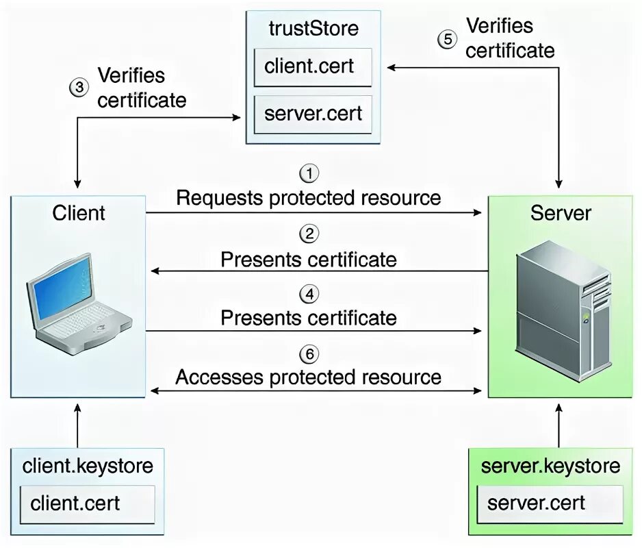 Client cert auth. Entrust/PKI. Nginx client Certificate authentication. PKI scheme authentication. Java truststore.