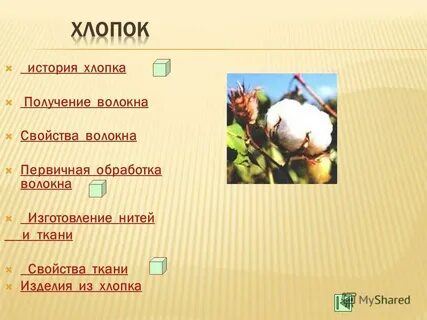 Хлопок история