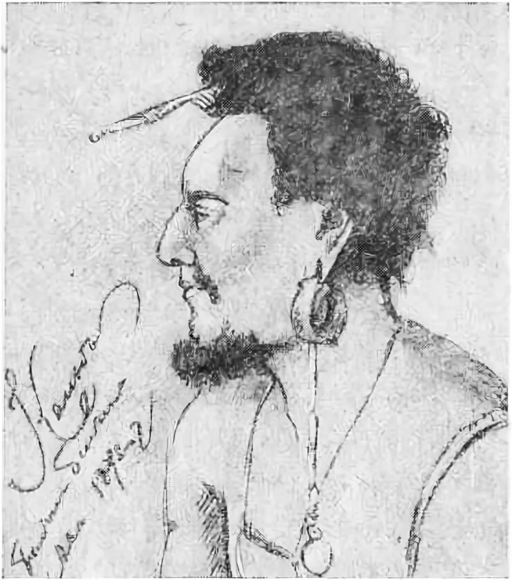 Экспедиции н. Путешественник миклуха миклухо маклай. Николаем николаевичем миклухо-маклаем (1846—1888). Николаем николаевичем миклухо-маклаем (1846—1888). Портрет миклухо маклая.