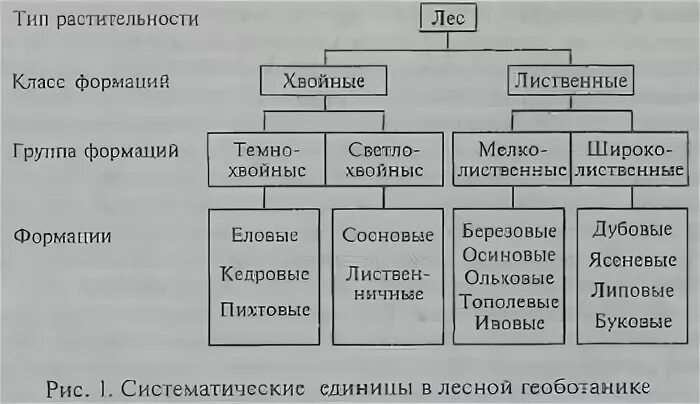 А. И. Макаренко. Лесное хозяйство северного края и лесоэксплоатация(9)