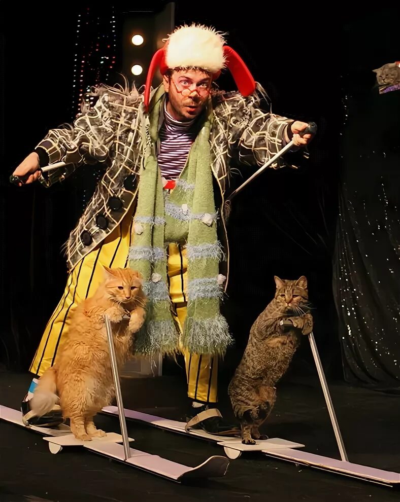 Дрессированные кошки куклачева. Театр кошек Юрия Куклачева.