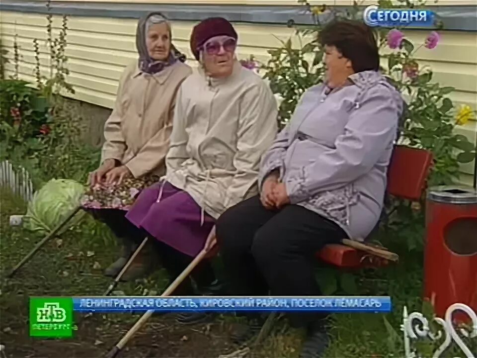 Бабку и колю. Бабку и колю