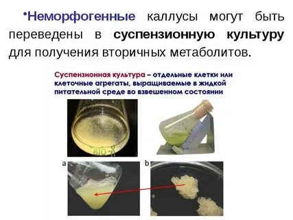 Жидкость во взвешенном состоянии