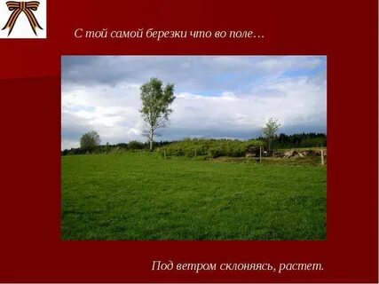 Стой самой