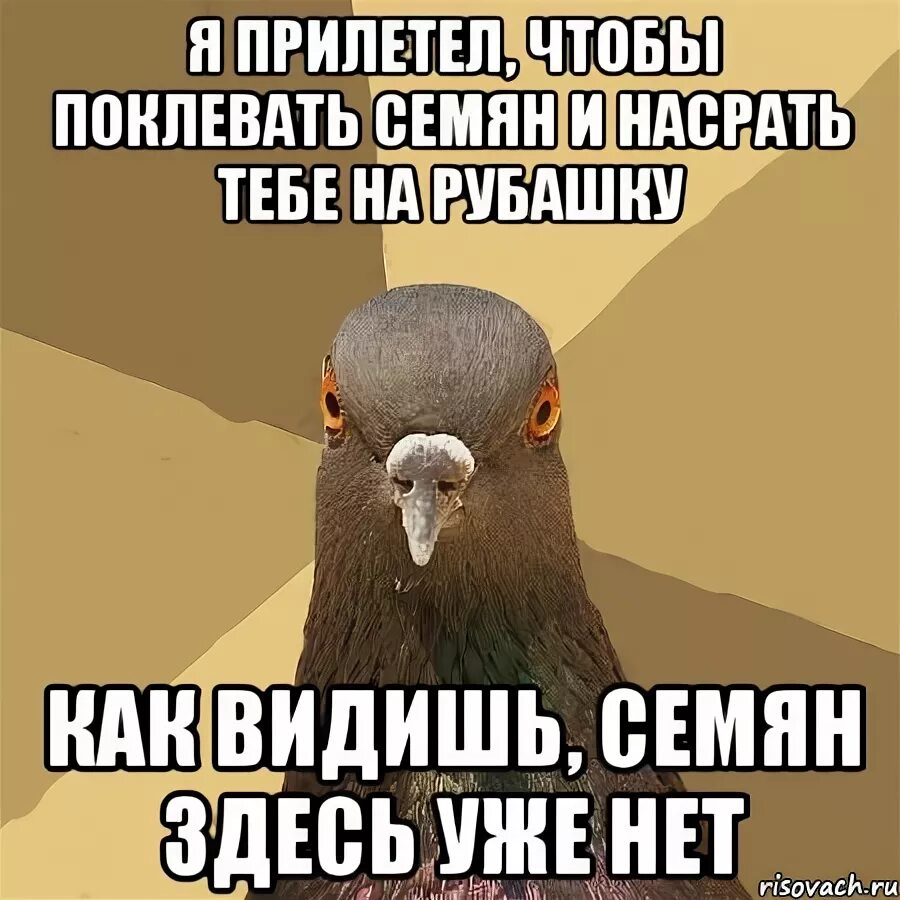 Мест уже нет