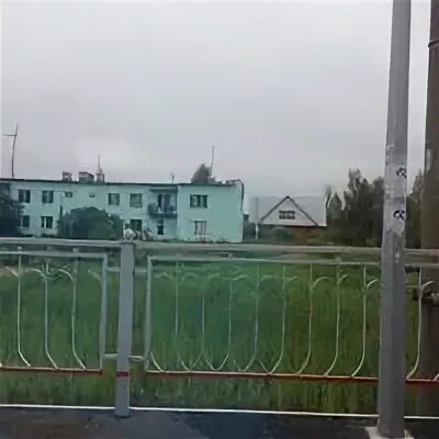Конаковский мох зеленоград
