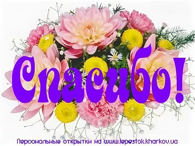 Света спасибо песня