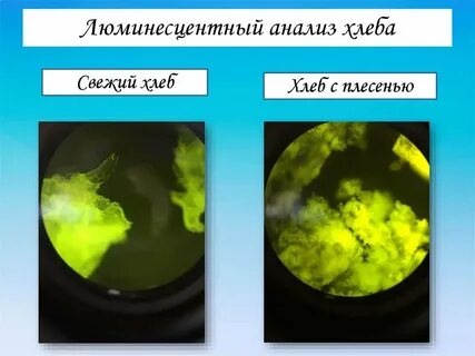 Люминесценция метод
