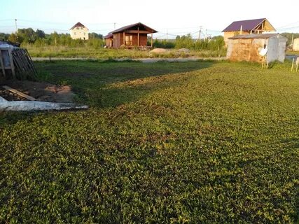 Участок кольцово