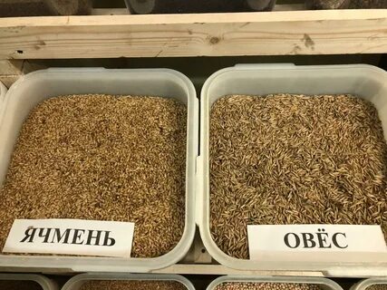 Магазин зерна