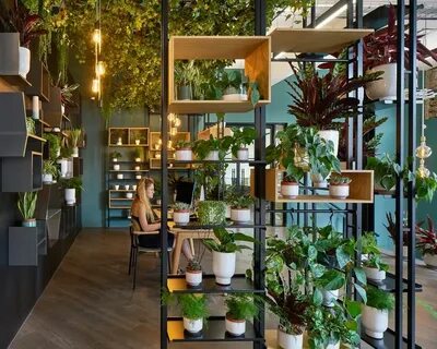 Plant hotel