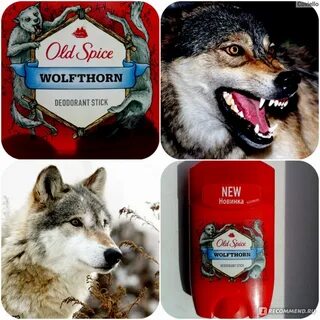 Wolfthorn перевод